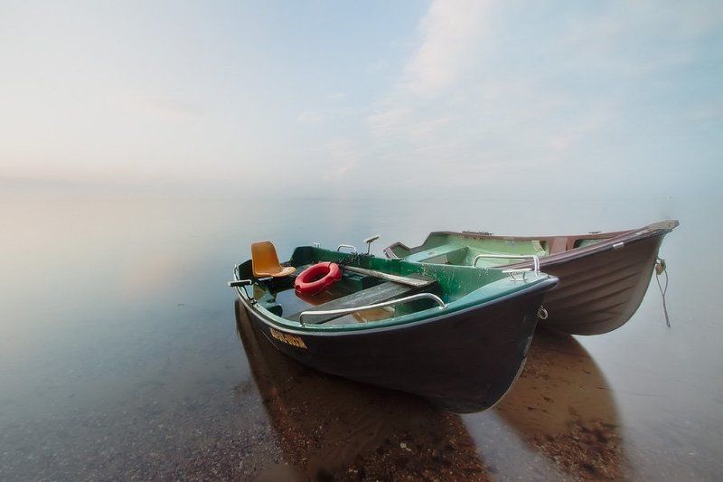 Twins фото превью