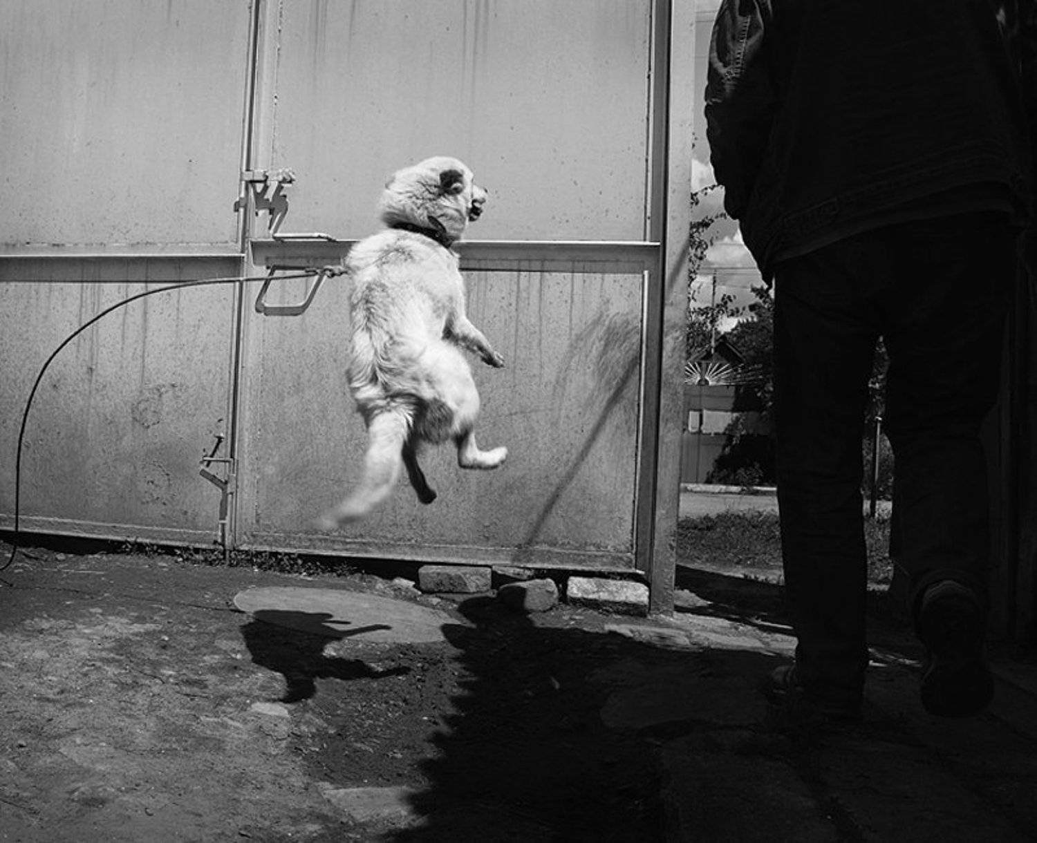 , Бондаренко Александр