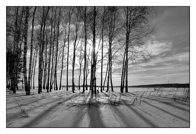 Зимний фото превью