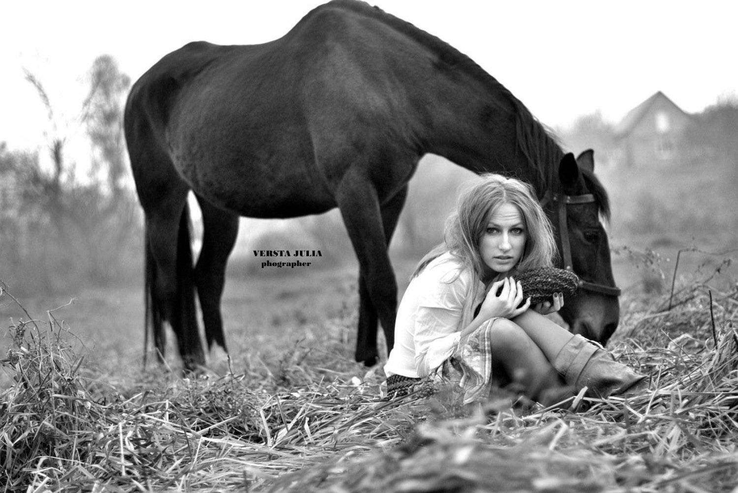 кінь, дика, чб,, Верста Юлія