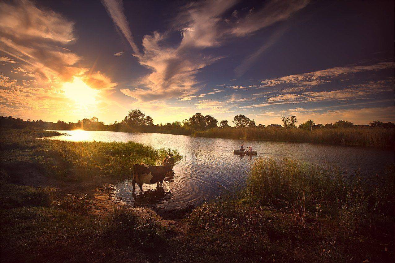 , Петр Антонович