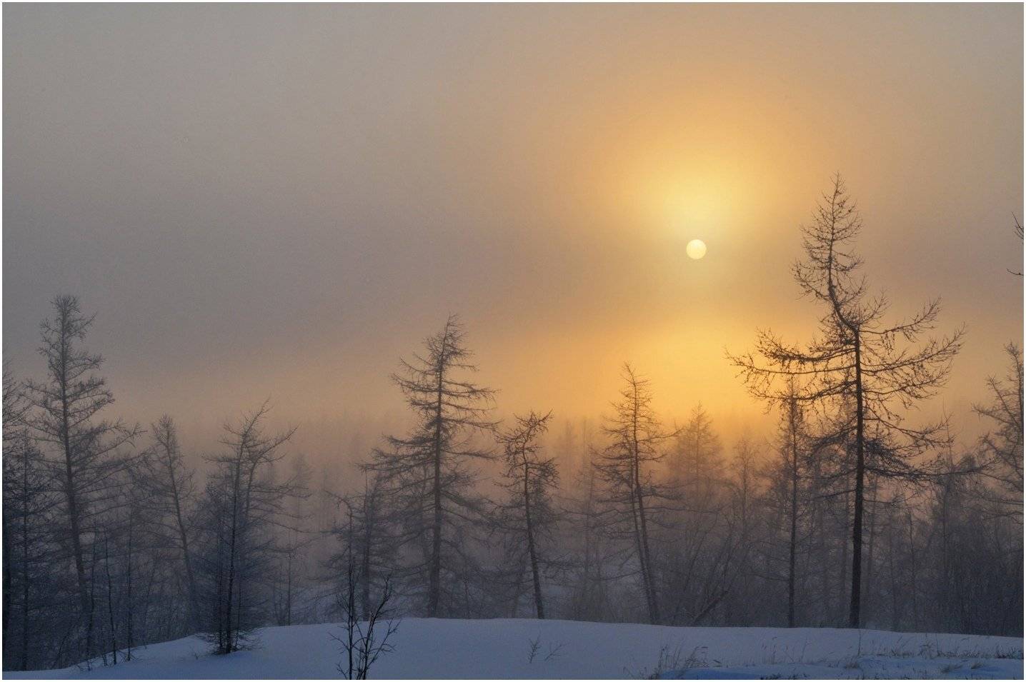 таймыр, Vladimir