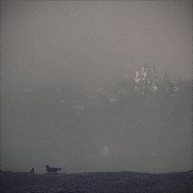 amethystium, arina, уроки рисования,окно Amethystium фото превью