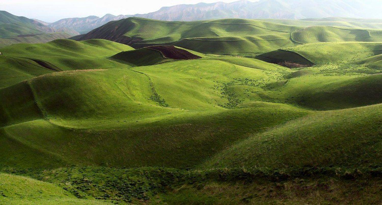 , Сергей Салюков