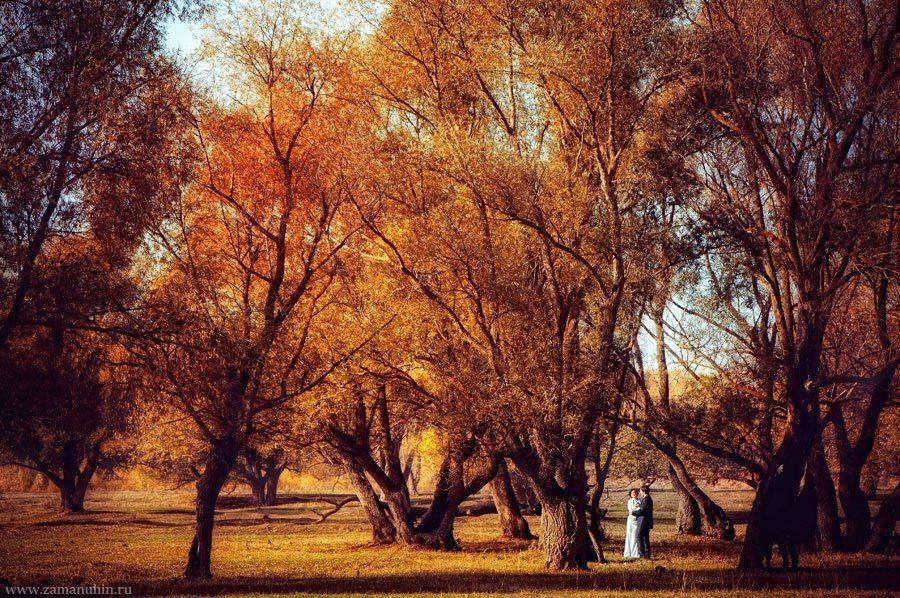 свадебная фотография, свадебный фотограф, свадебная фотосъёмка, казань, иван заманухин, ivan zamanuhin, kazan, wedding,, Иван Заманухин