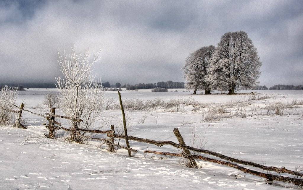 , Павел Дунюшкин