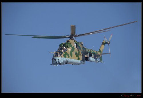 Из жизни крокодилообразных