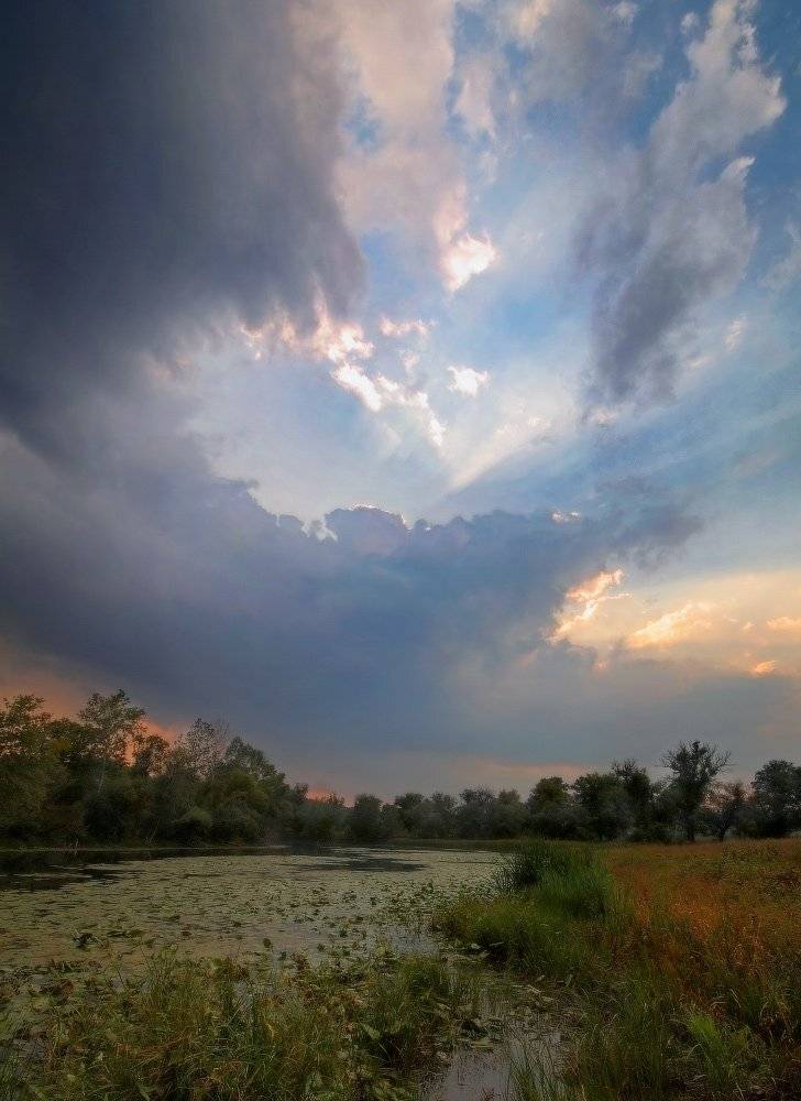 вечер, лето, тучи, Петриченко Валерий