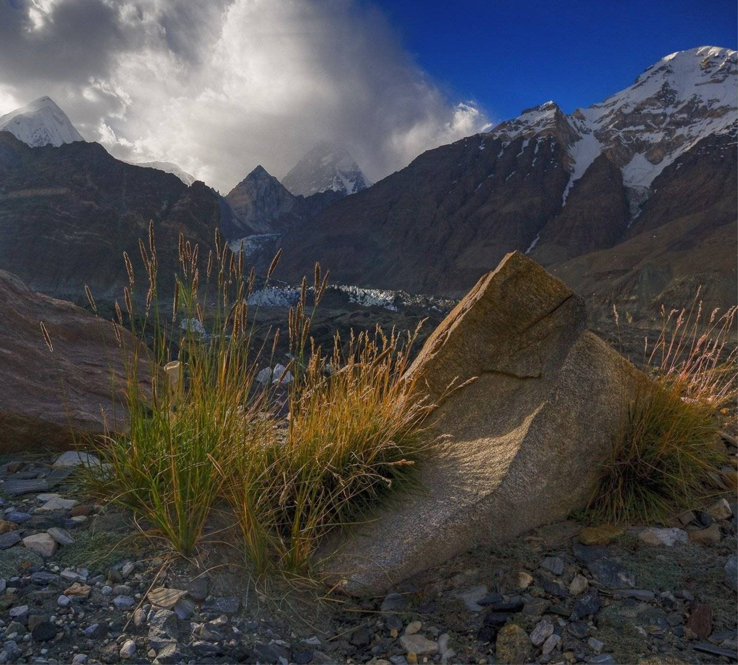 памир, ледники, островок лета среди льдов, Андрей Chogori Громов