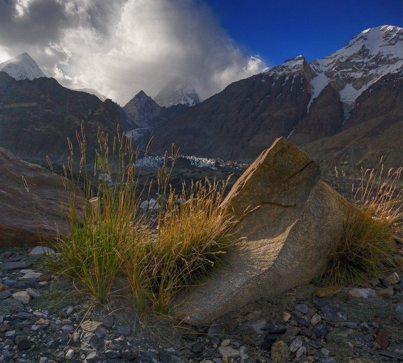 памир, ледники, островок лета среди льдов Такой разный Памир фото превью