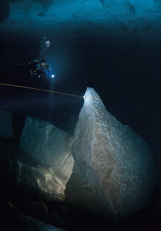 Зуб Дракона фото превью