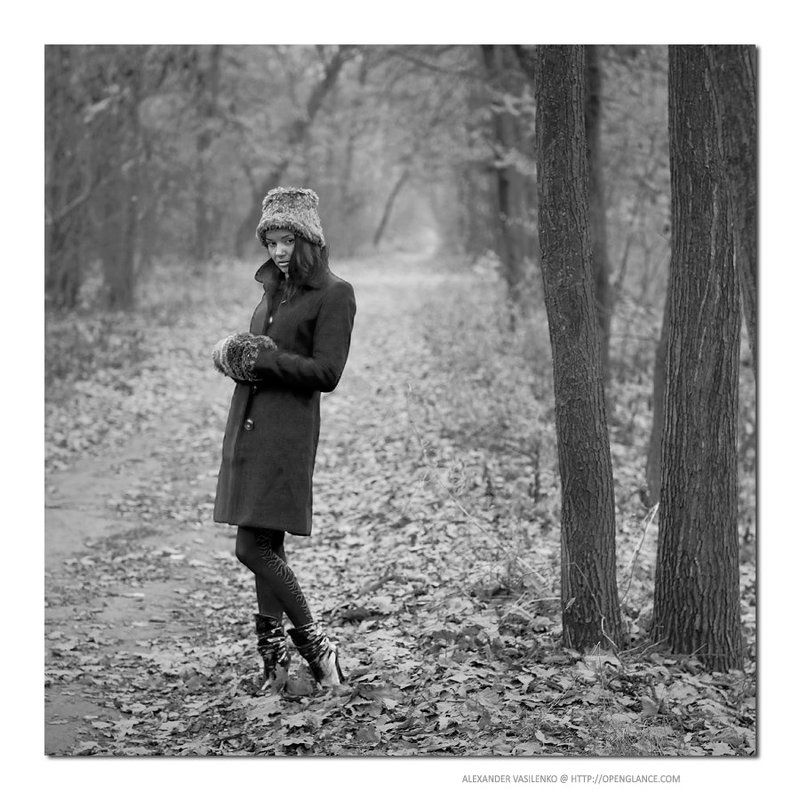 Autumn voices... фото превью