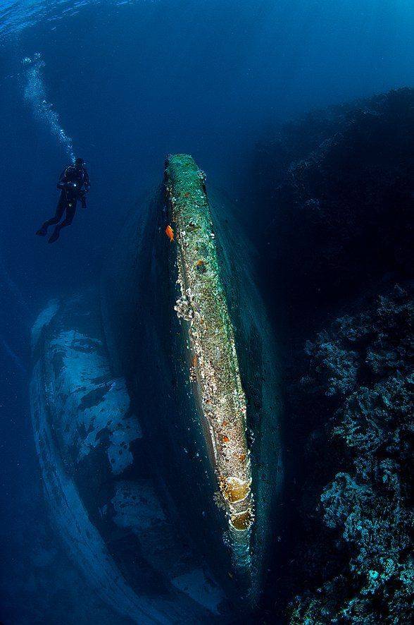 , Андрей Шпатак