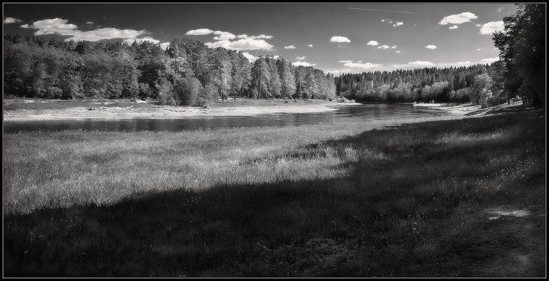 лето, василево, тверца, пейзаж *** фото превью