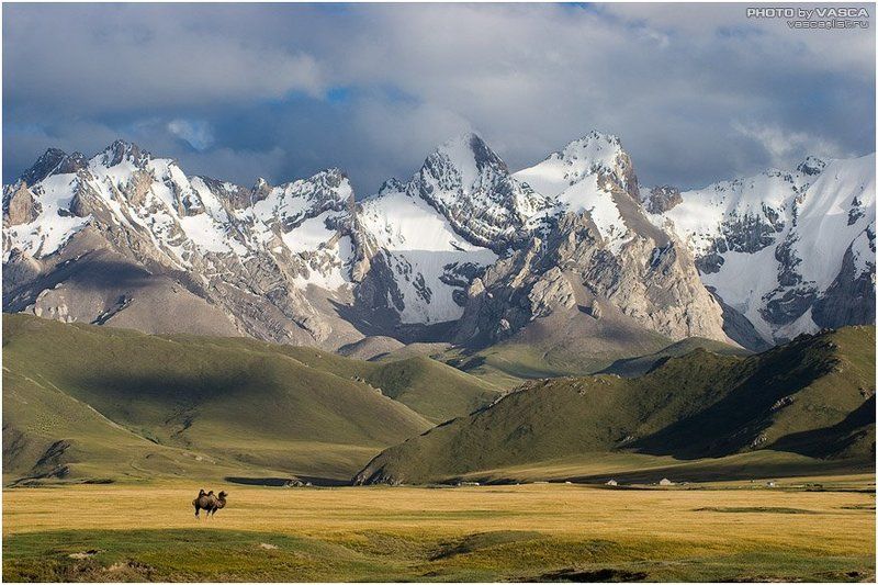 фотосафари, киргизия от Ат-Баши до Сары-Белеса фото превью