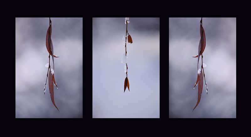 Скоро весна, ну а пока ... фото превью