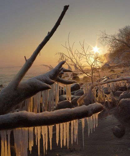 Утро в Заостровье