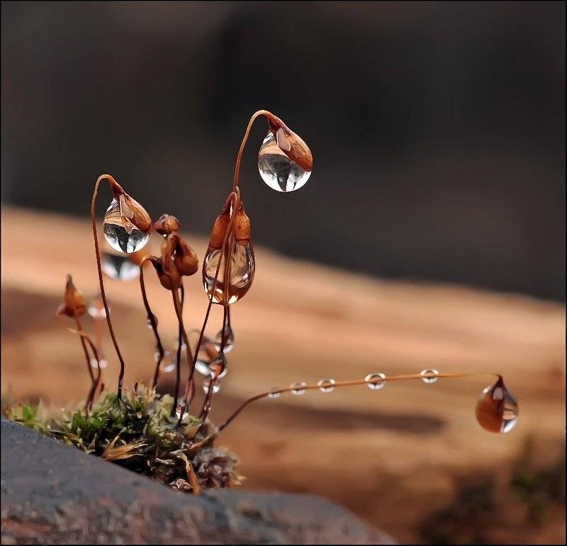 , Андрей Осокин