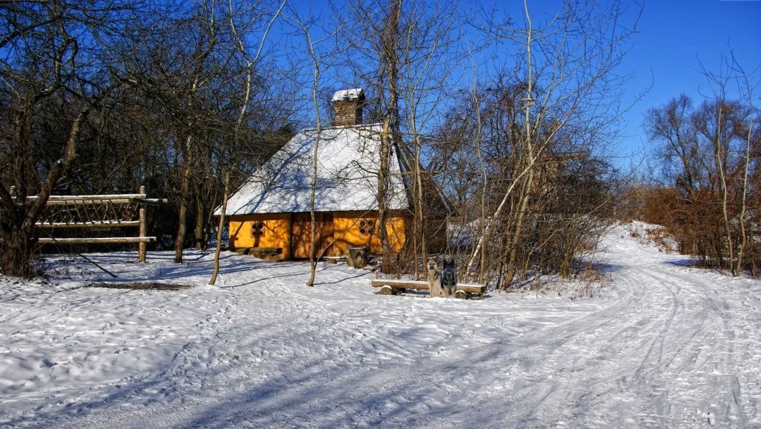 пейзаж, Tina Grach