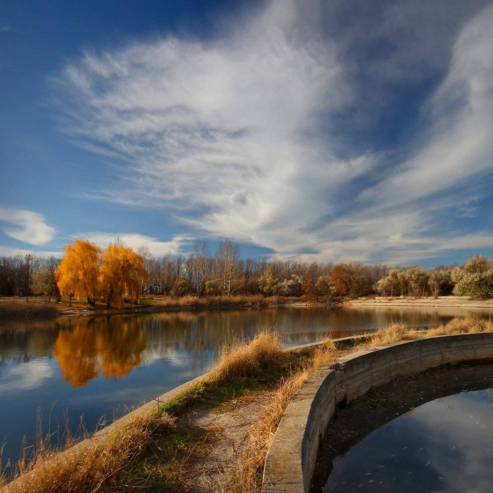 дерево, небо, облака, осень, Петриченко Валерий