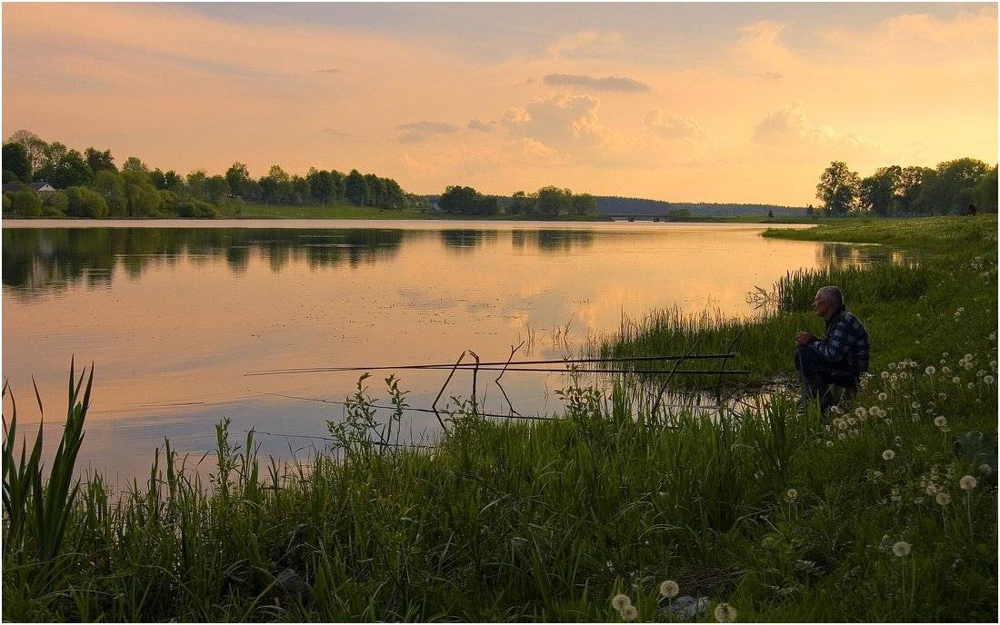 , Николай Шахманцир