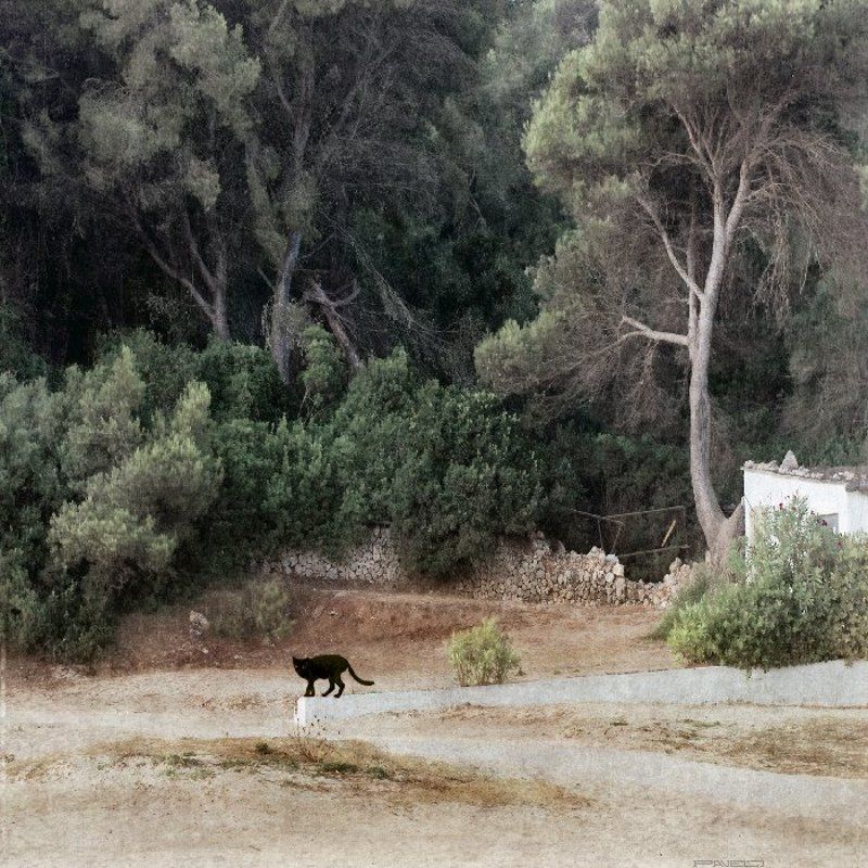 alone . фото превью