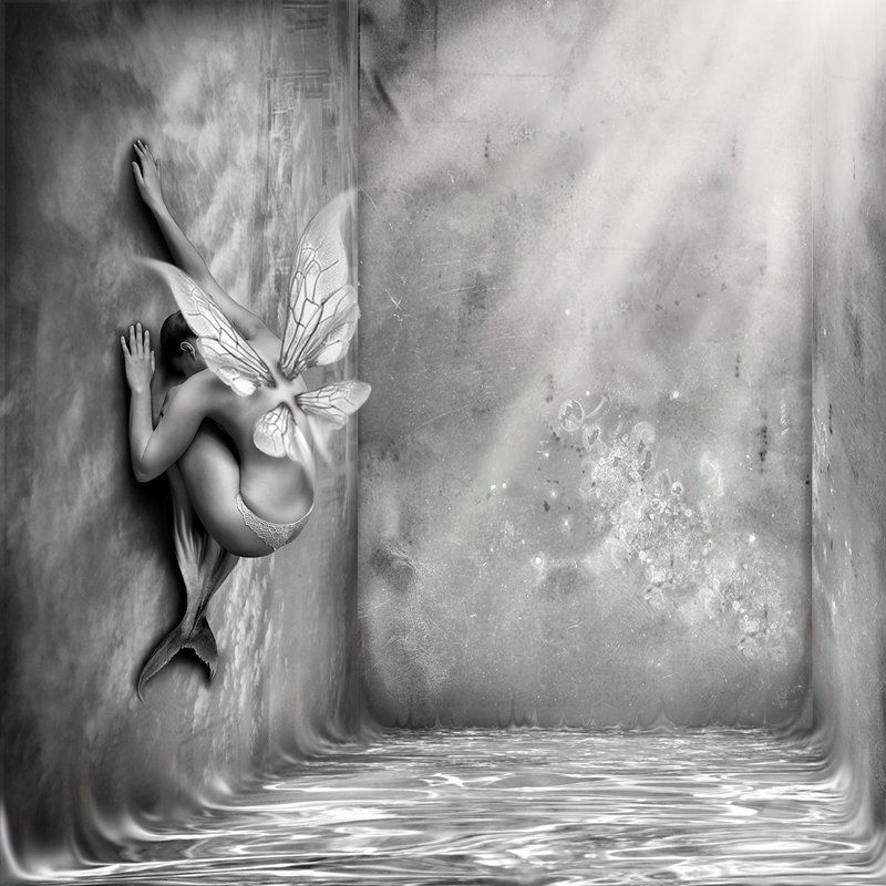 рыбка моя... фото превью