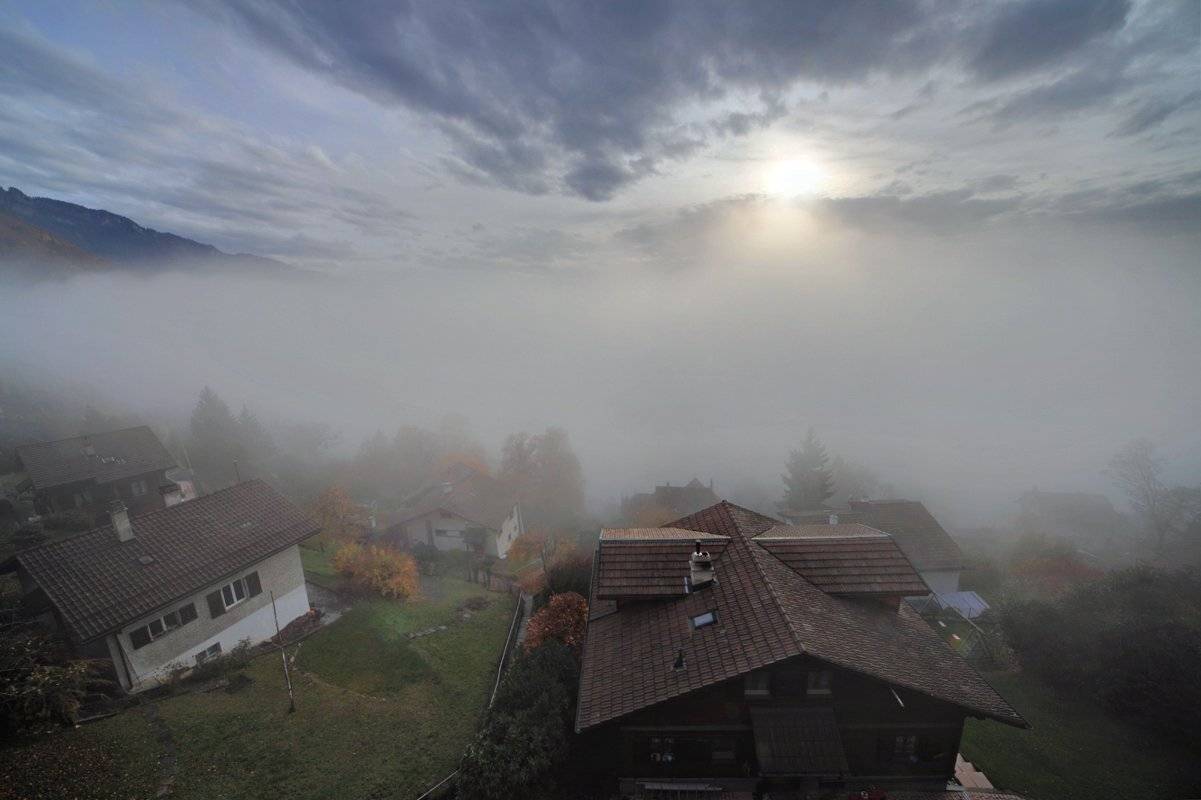 swiss,монтрё, Матвеев Николай