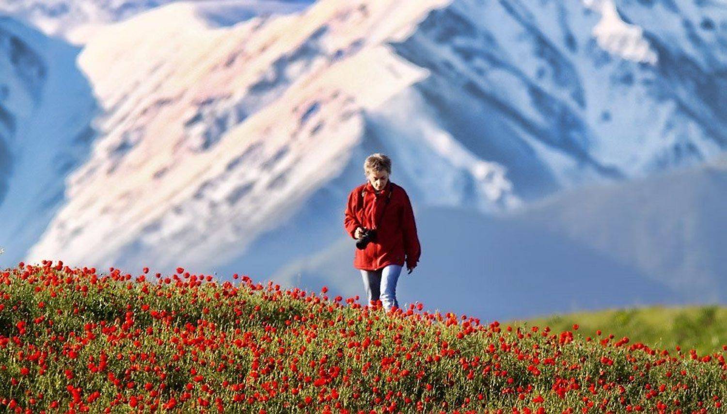 , Сергей Салюков