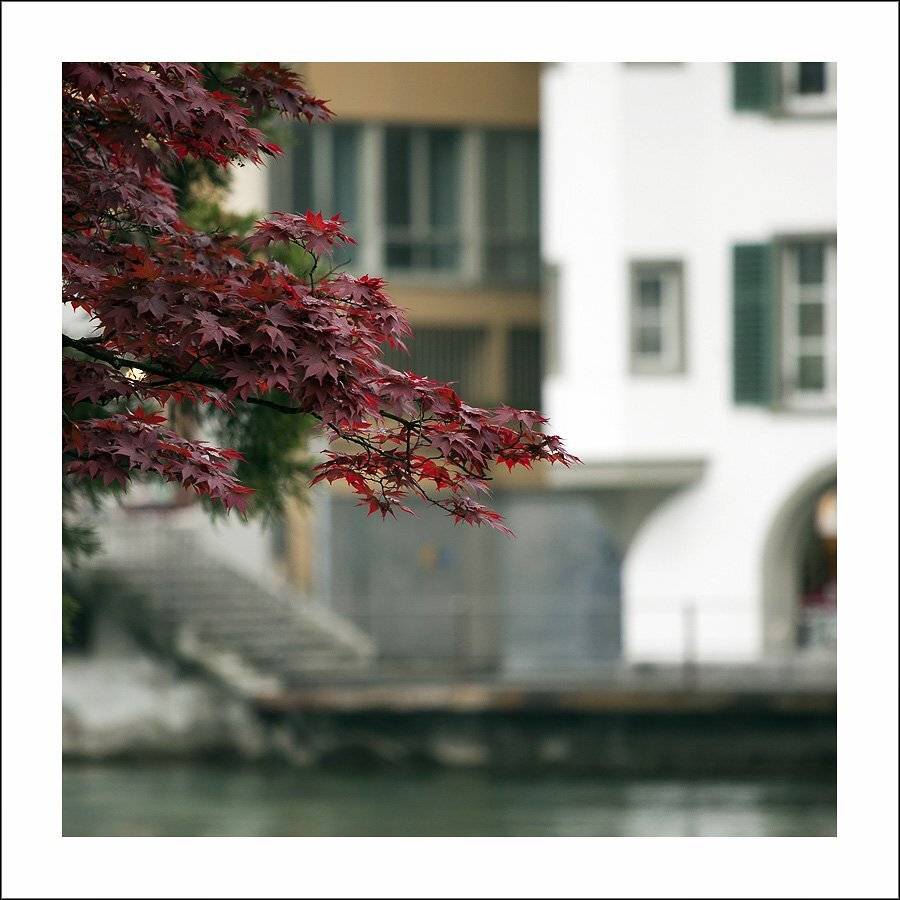 швейцария, люцерн, Лариса Гурьева