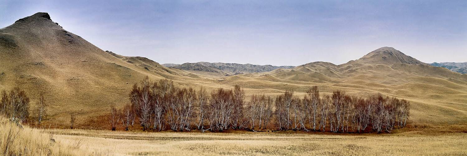 , Качурин Алексей