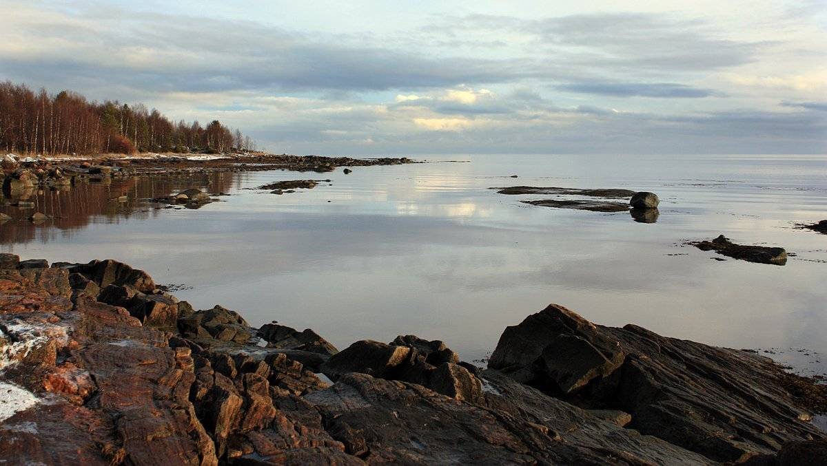 , Андрей Котов