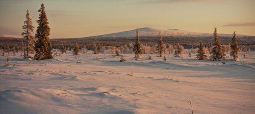 Прошлогодняя зима