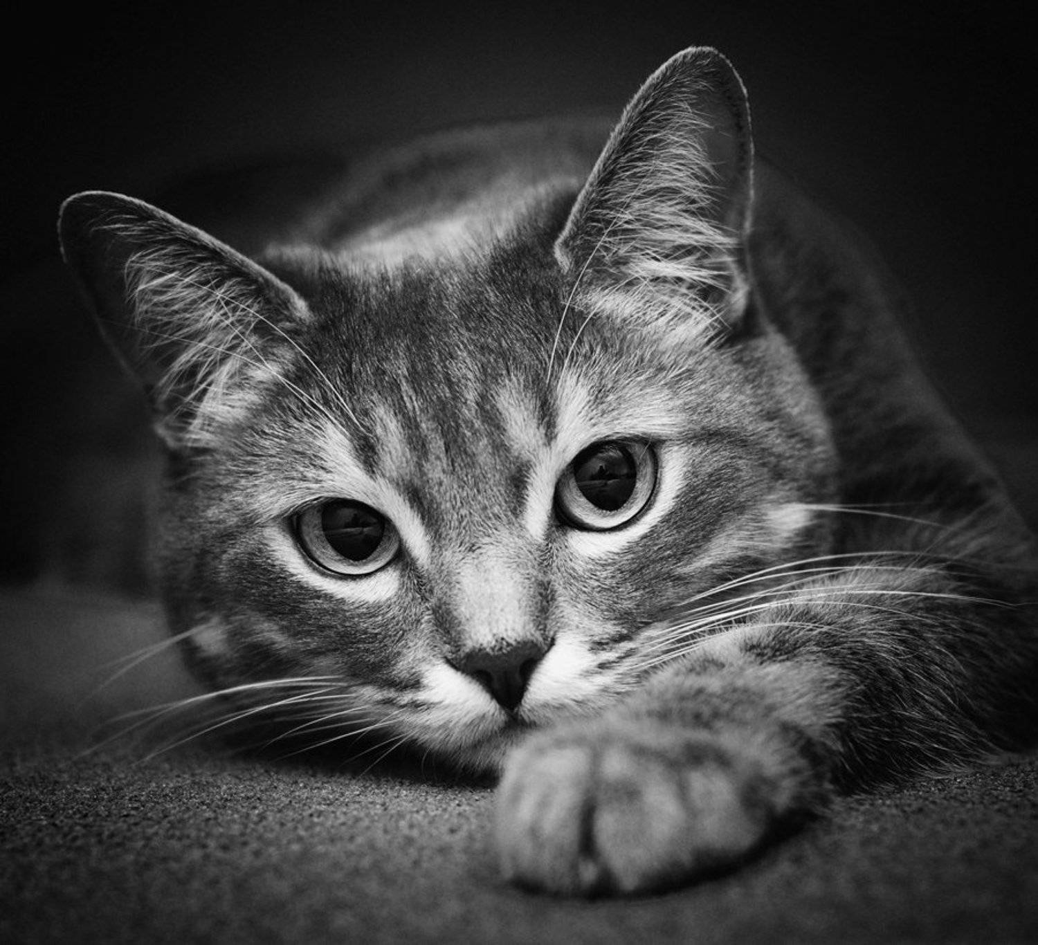 , Павел Хлыпенко