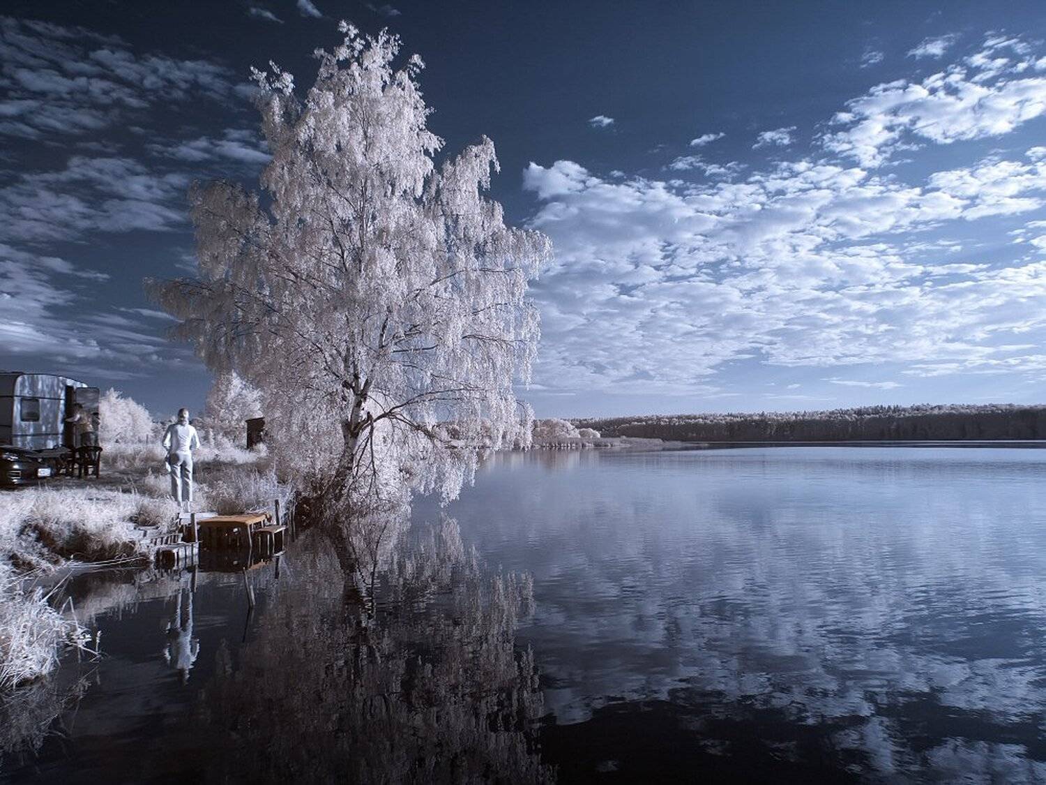 , Максим Евдокимов