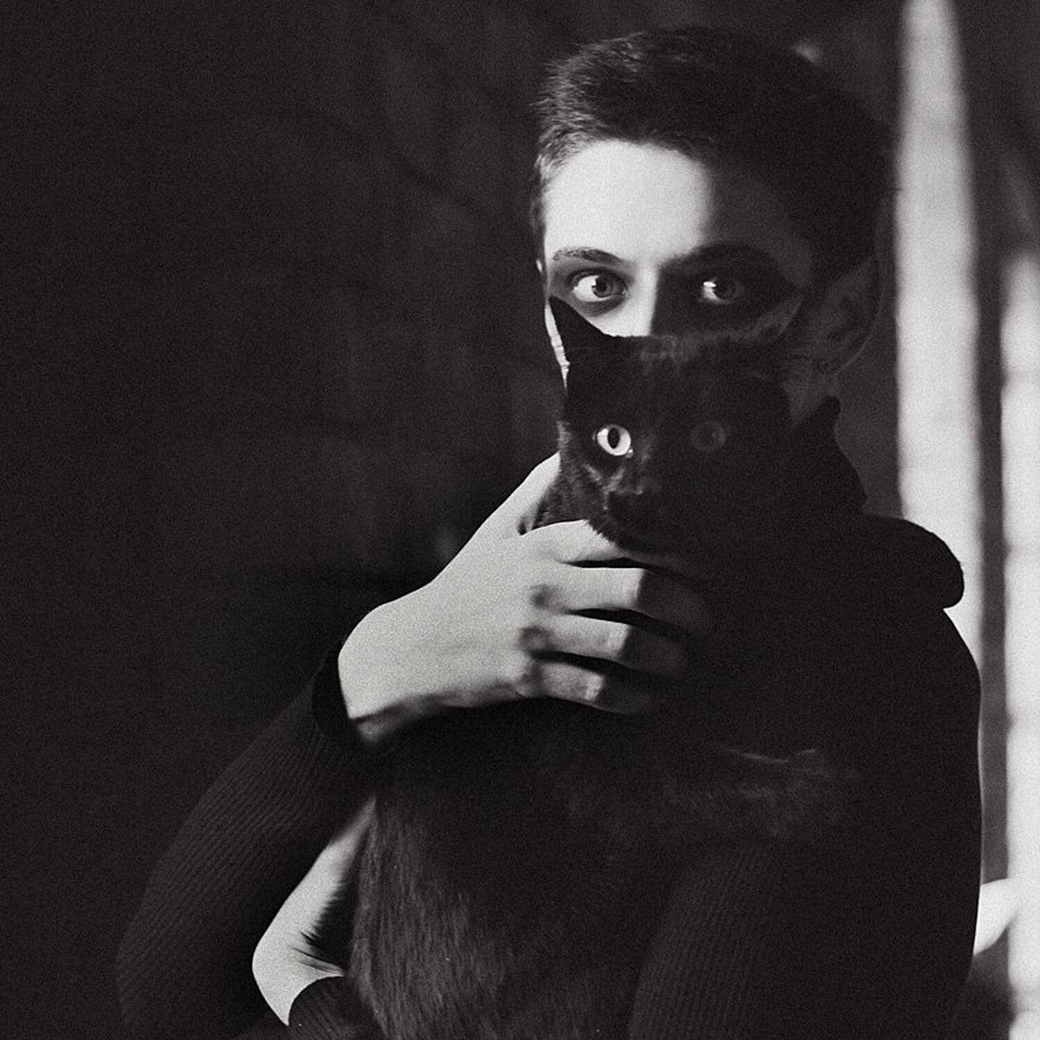 кот, черный, Алина Рафаловская