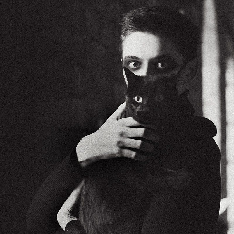 кот, черный Два кота фото превью