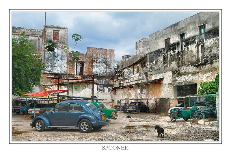 * * * фото превью