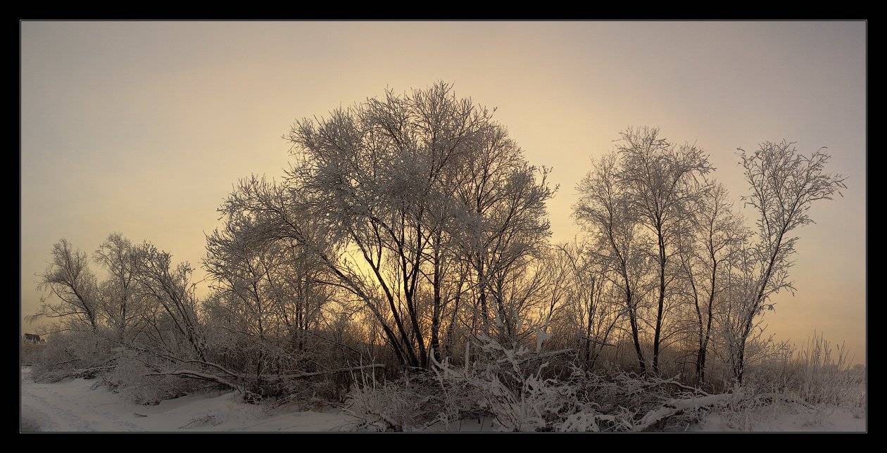 , Данил Ромодин