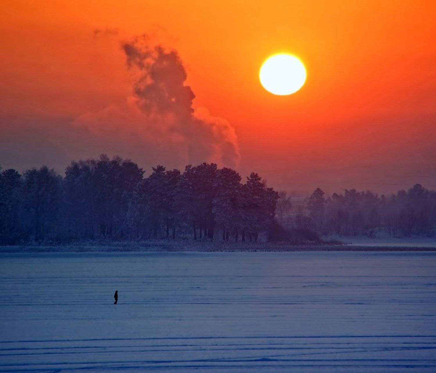 , Олег Пожарков