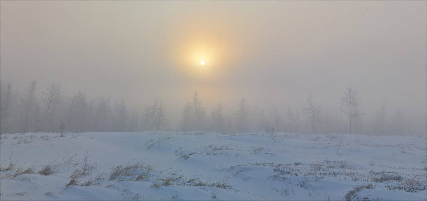 таймыр, Vladimir