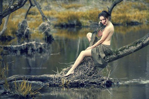 Keeper of the forest