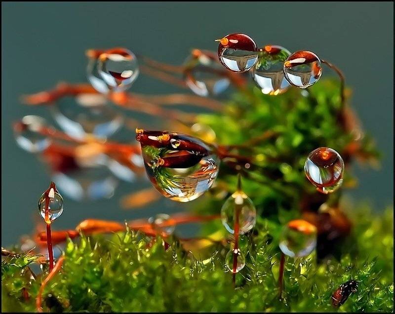 , Андрей Осокин