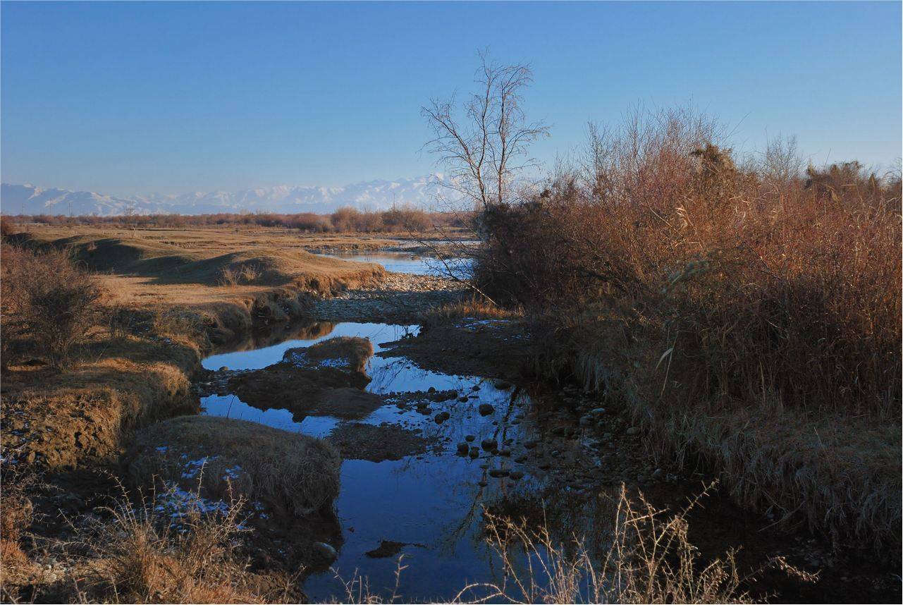 природа, Геннадий Меремьянин