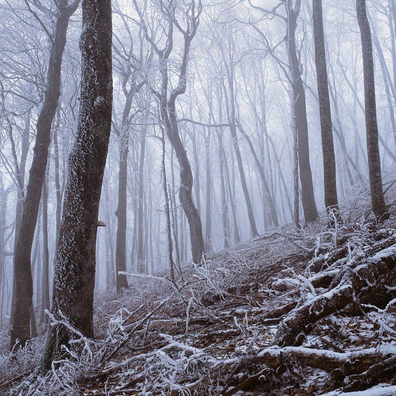 * фото превью