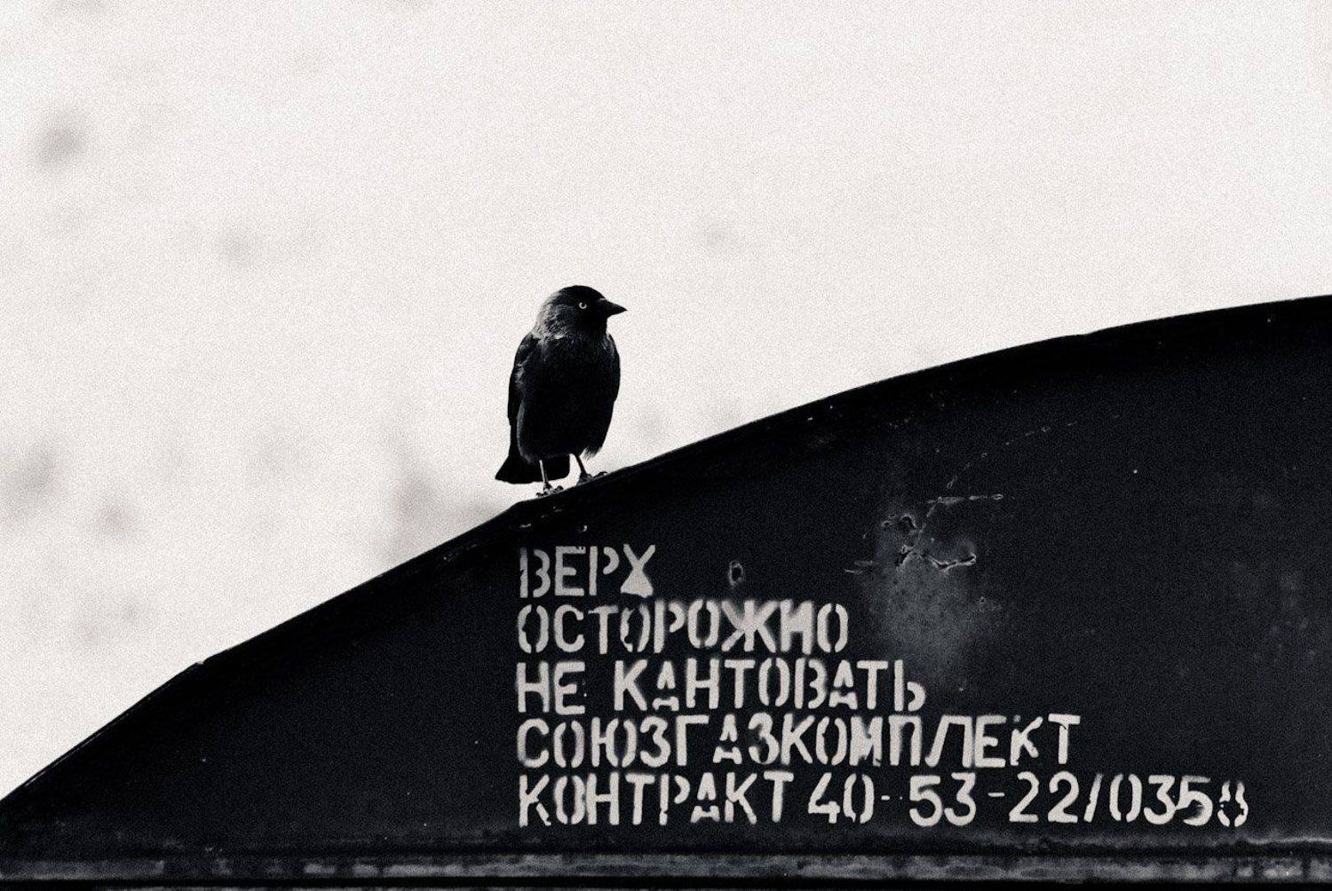 , Лебедев Вадим