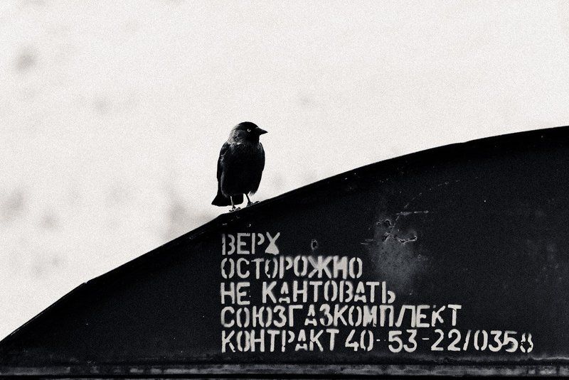 Не кантовать. фото превью