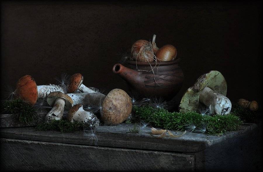 натюрморт,  грибы, Елена Соловьёва