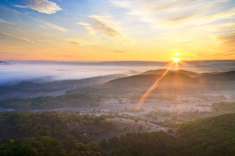 Вот такое утречко) фото превью