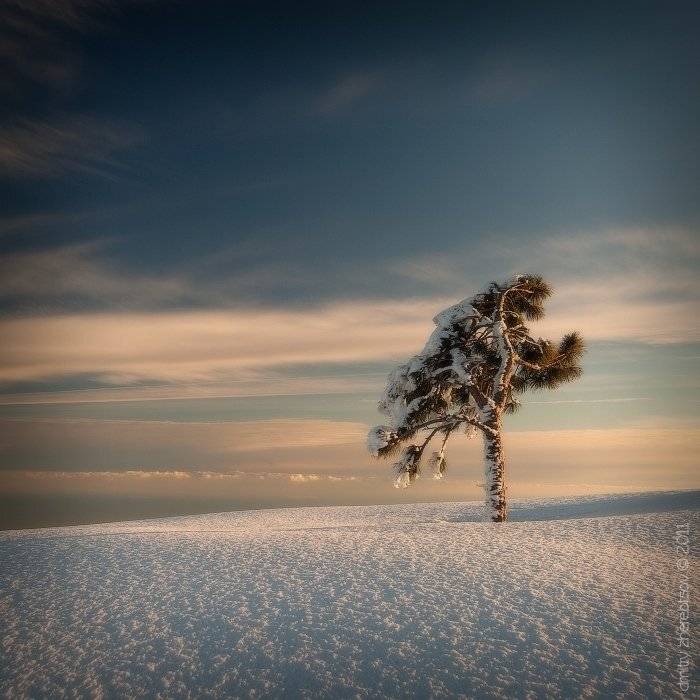 ай-петри, Dmitry Zherebtsov